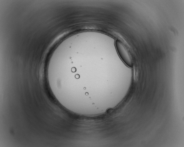 X0000116820531200912312017