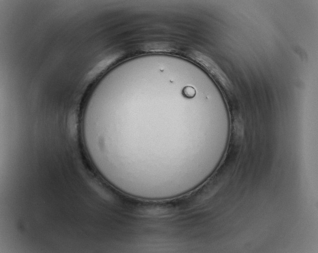 X0000116820533200912312017