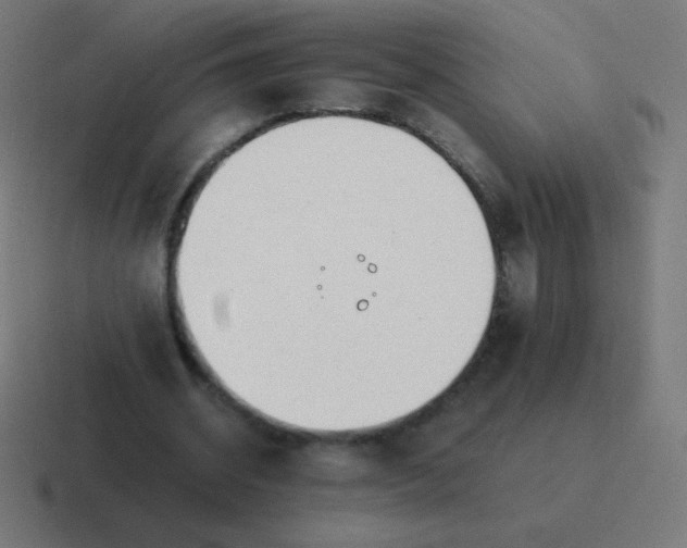 X0000116820534200912312017