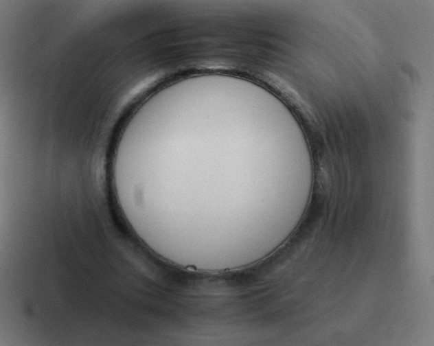 X0000116820535200912312017