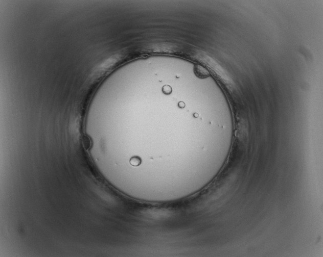 X0000116820537200912312017