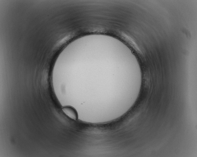 X0000116820538200912312017