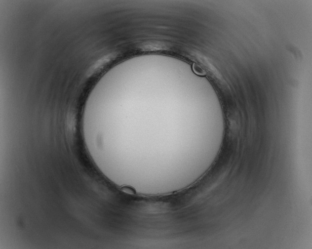 X0000116820539200912312017