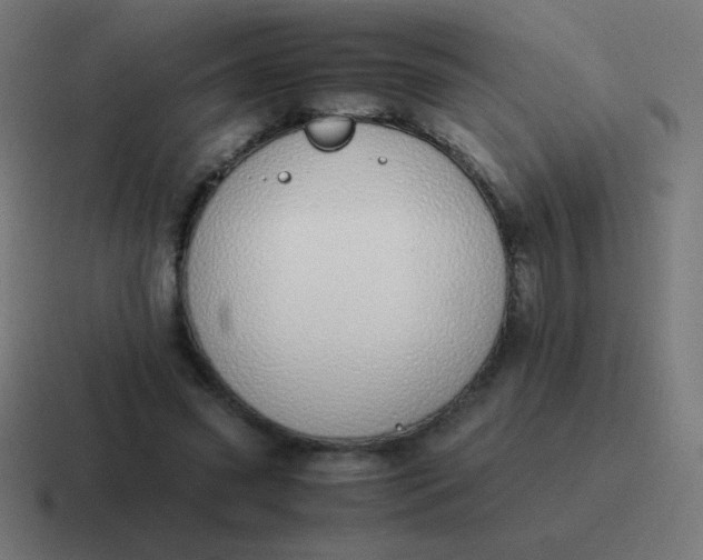 X0000116820541200912312017