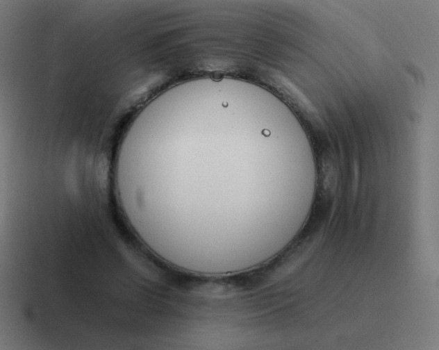 X0000116820542200912312017