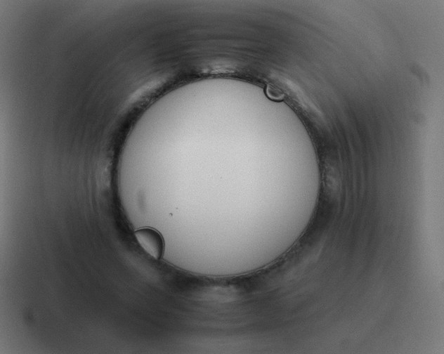 X0000116820543200912312017