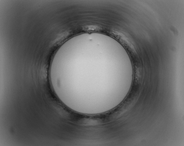 X0000116820545200912312017