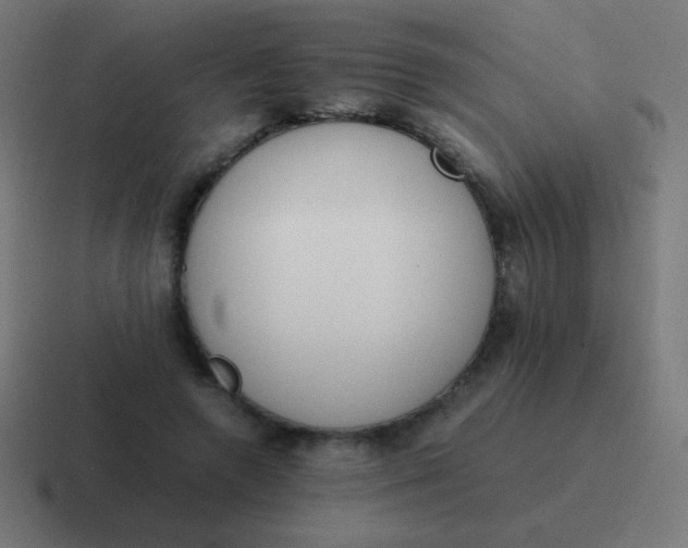 X0000116820546200912312017