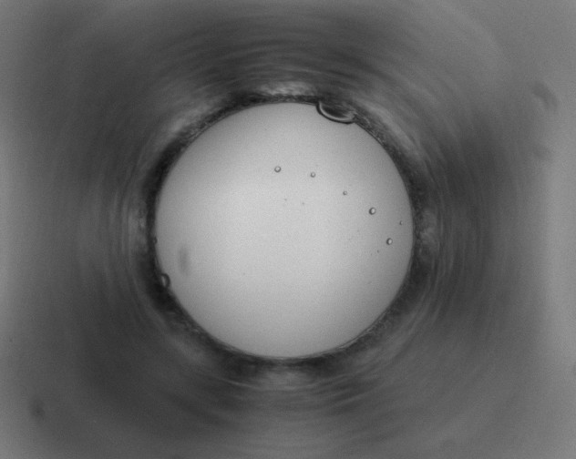 X0000116820547200912312017