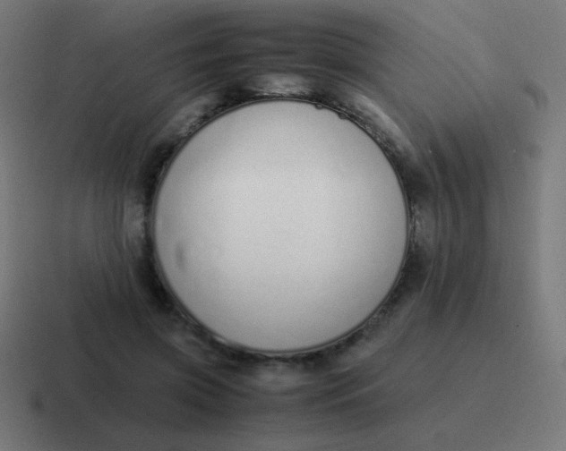 X0000116820549200912312017