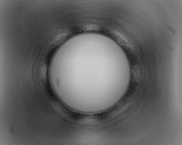 X0000116820550200912312017