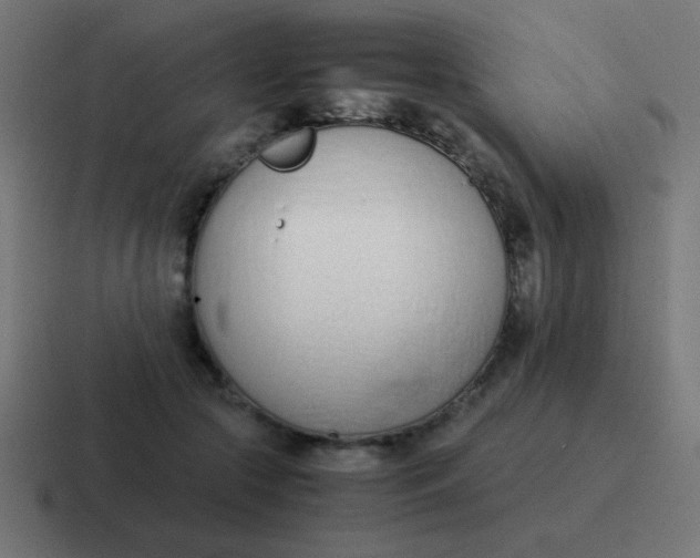 X0000116820553200912312018