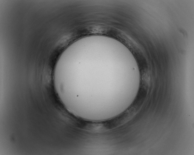 X0000116820554200912312018