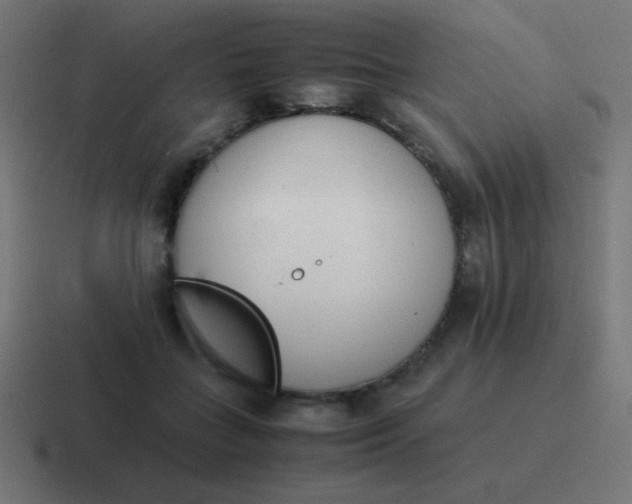 X0000116820555200912312018