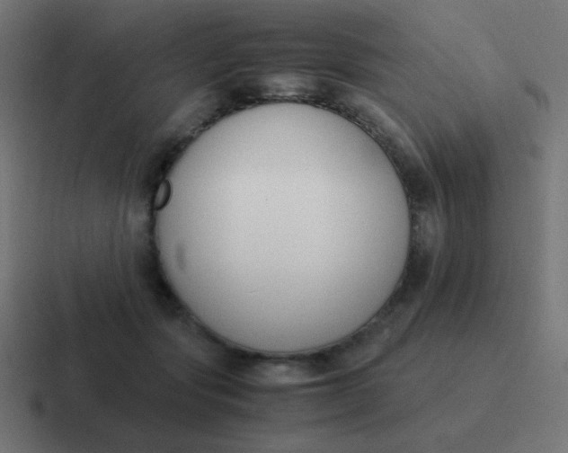 X0000116820557200912312018