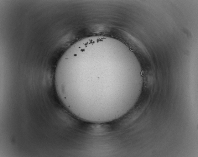 X0000116820558200912312018