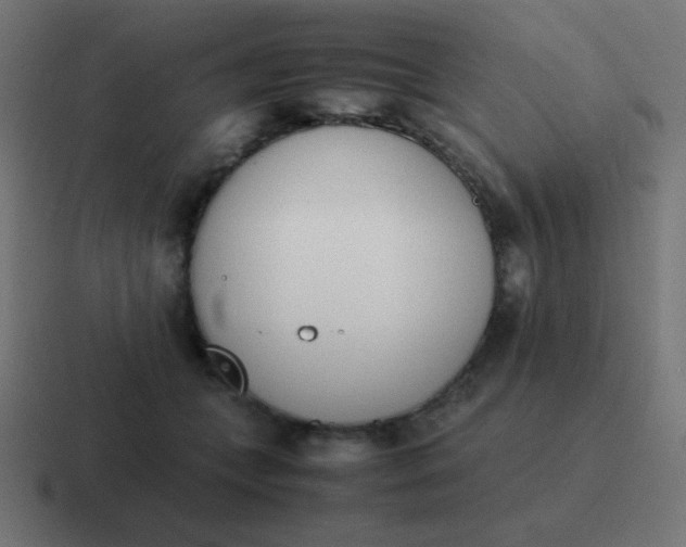 X0000116820559200912312018