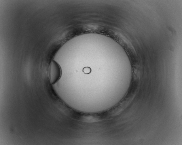 X0000116820561200912312018