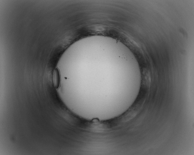 X0000116820562200912312018