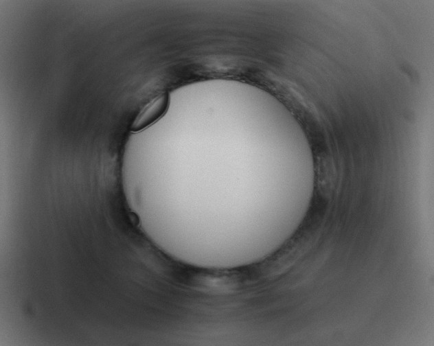 X0000116820563200912312018