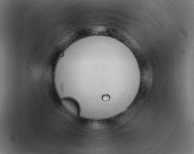 X0000116820565200912312018