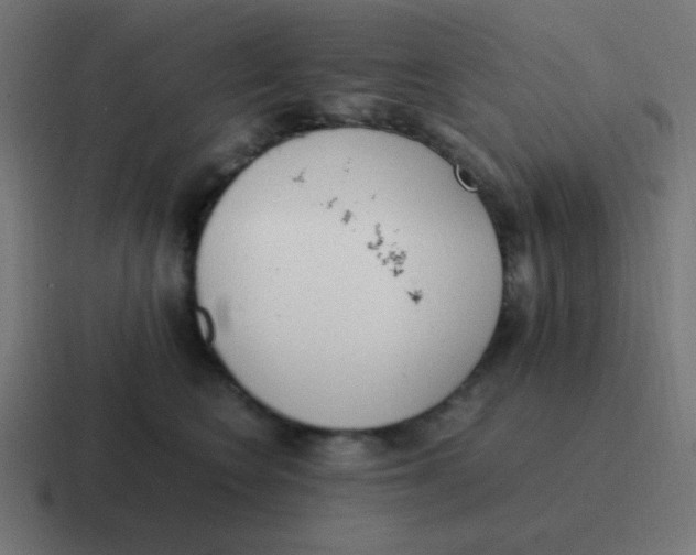 X0000116820566200912312018