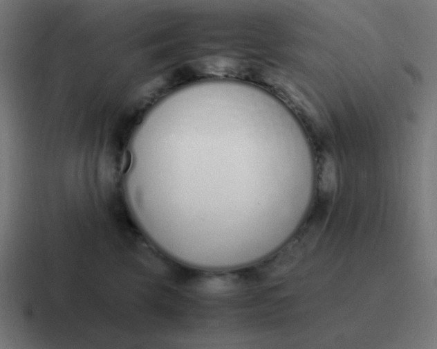 X0000116820569200912312018