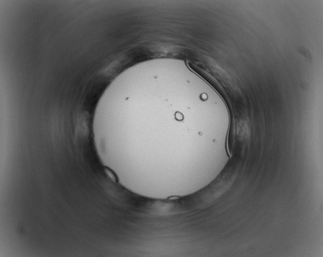 X0000116820570200912312018