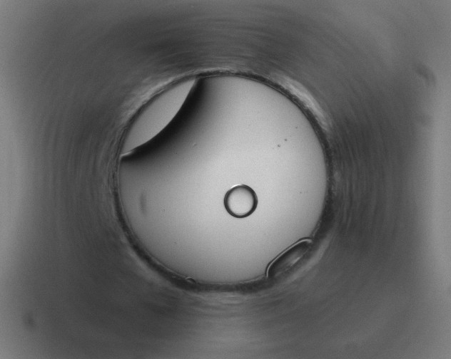 X0000116820577200912312017