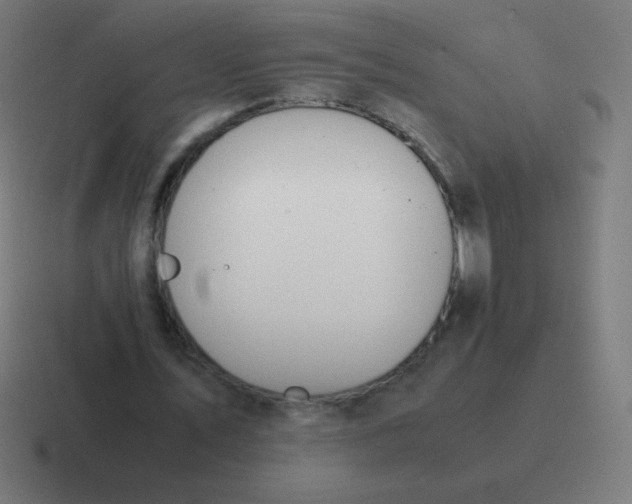 X0000116820579200912312017