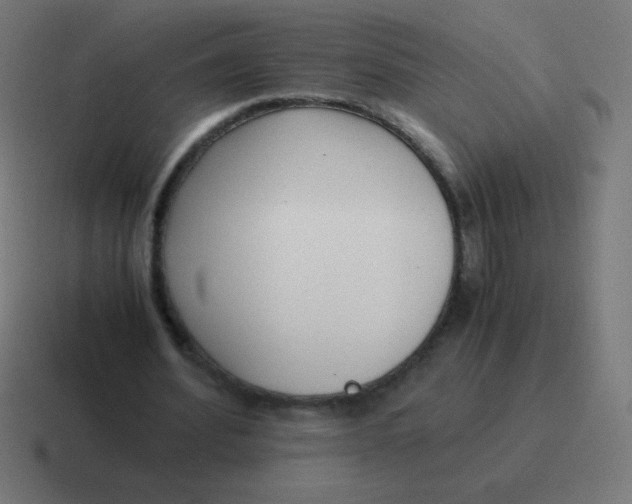 X0000116820580200912312017