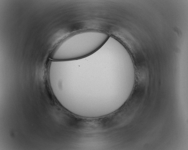 X0000116820583200912312017