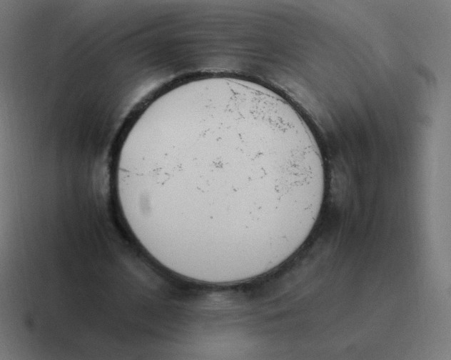 X0000116820584200912312017