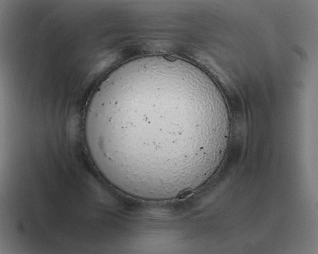 X0000116820585200912312017