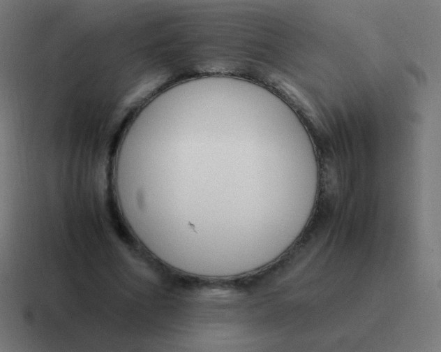 X0000116820586200912312017