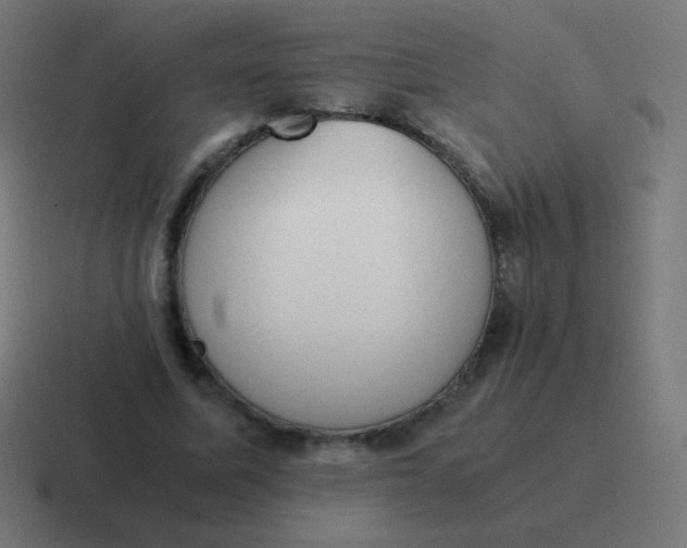 X0000116820587200912312017