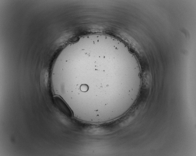 X0000116820589200912312017