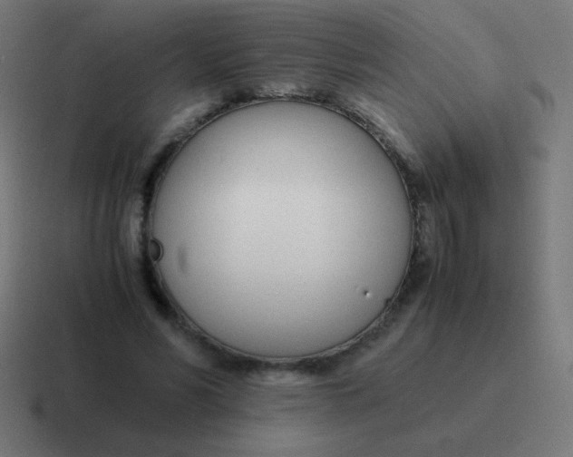 X0000116820590200912312017