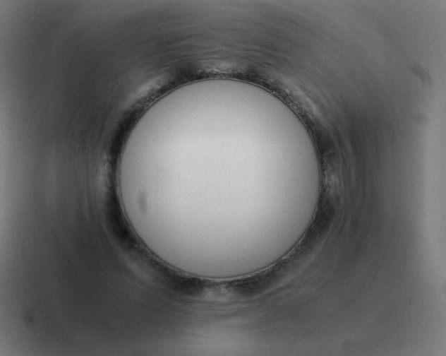 X0000116820591200912312017