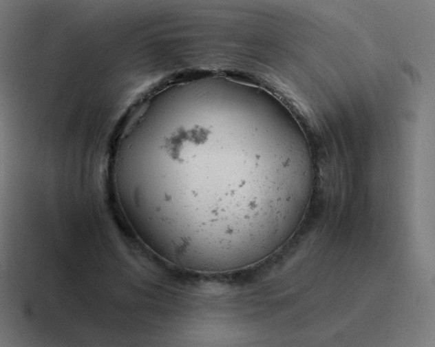 X0000116820592200912312017