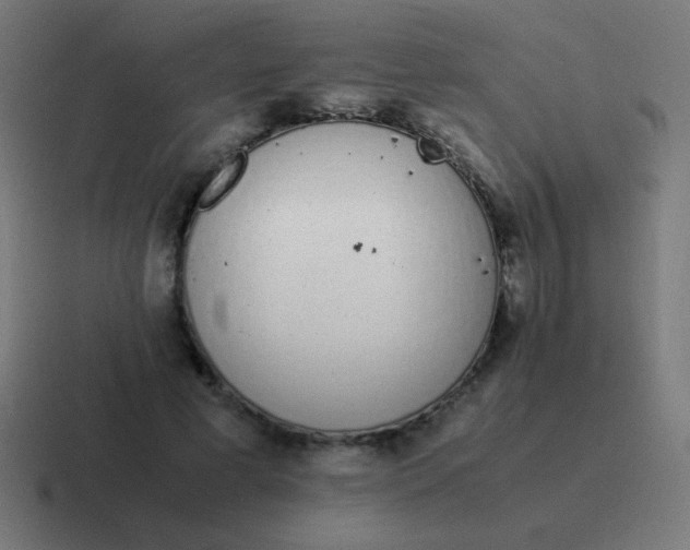 X0000116820593200912312017