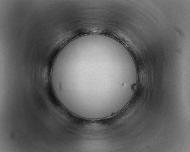 X0000116820594200912312017