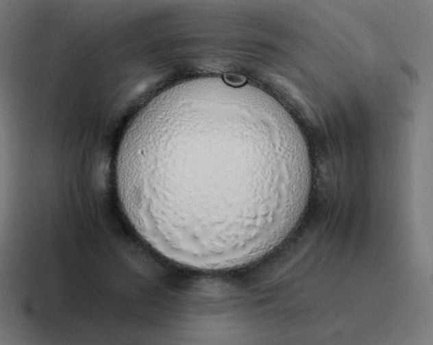 X0000116820596200912312017