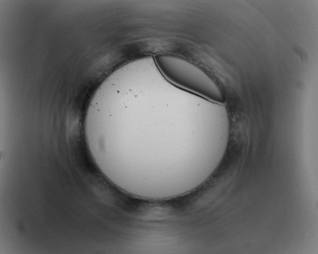 X0000116820597200912312017