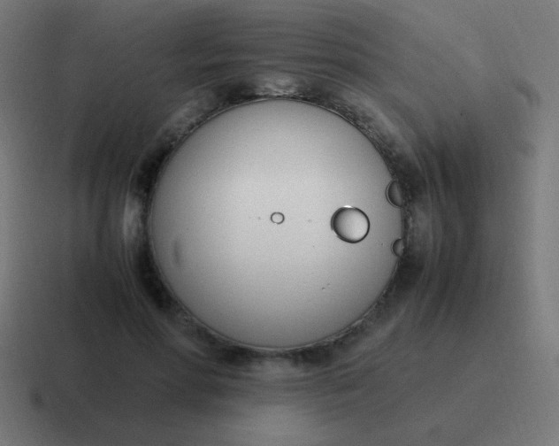 X0000116820598200912312017