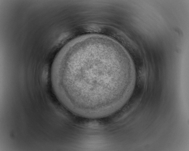 X0000116820600200912312017