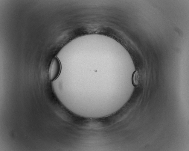 X0000116820601200912312017