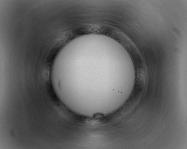 X0000116820602200912312017