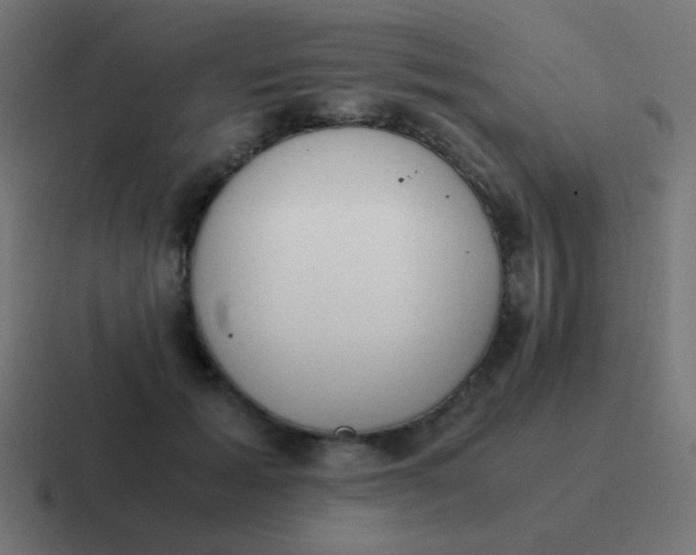 X0000116820605200912312017