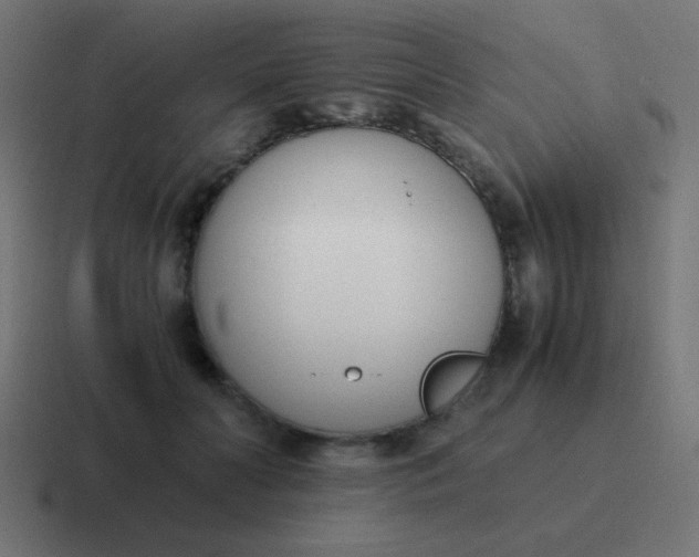 X0000116820606200912312017